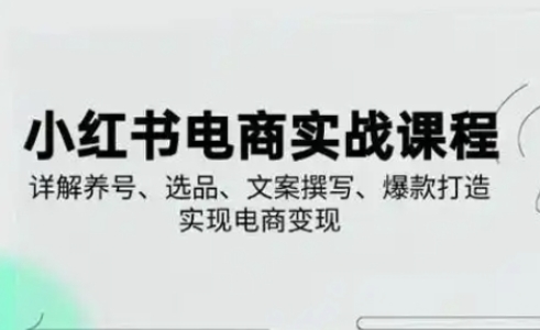 小红书从0-1实操课(2023-2025)，详解养号、选品、文案撰写、爆款打造实现电商变现-择笔创业网