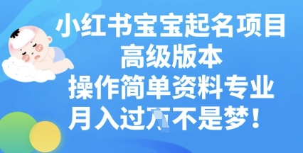 小红书宝宝起名项目高级版本，操作简单，资料专业，月入过W-择笔创业网