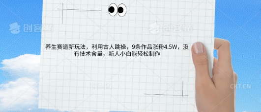 AI养生赛道新玩法，10条作品涨粉5.2W，操作简单，新人小白能轻松制作-择笔创业网