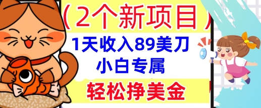 2个新项目，轻松挣美金， 1天收入89美刀，小白专属，干货分享-择笔创业网