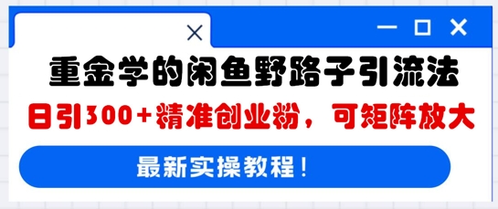 重金学的闲鱼野路子引流法，日引300+精准创业粉，可矩阵放大-择笔创业网