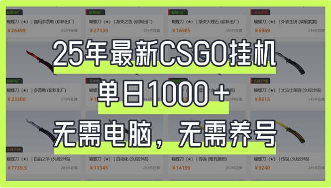 （14178期）25年最新CSGO挂机系统，单日1000+，无需电脑，无需养号，0基础可上手-择笔创业网