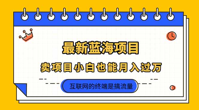 （14289期）2025年最新蓝海项目，卖项目小白也能月入过万-择笔创业网