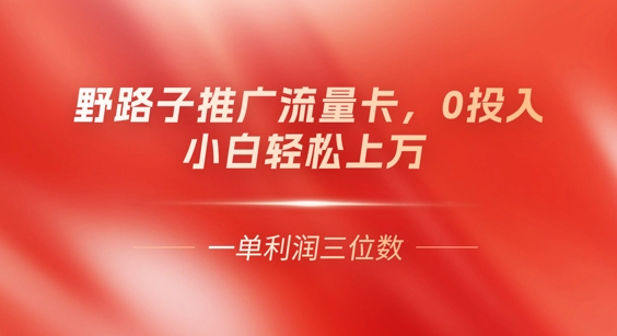 0门槛推广流量卡，一单收益上百，0投入，小白月入过W-择笔创业网