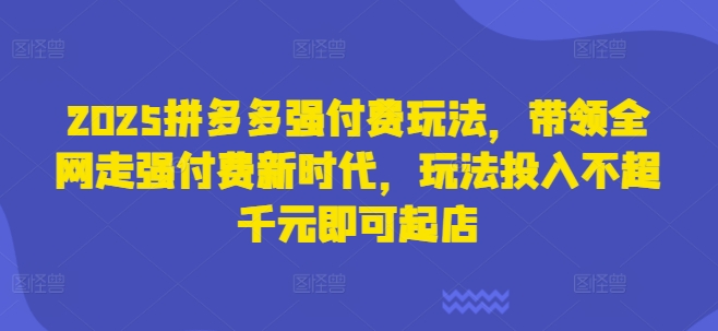 2025拼多多强付费玩法，带领全网走强付费新时代，玩法投入不超千元即可起店-择笔创业网