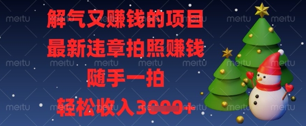 解气又挣钱的项目，最新违章拍照挣钱，随手一拍，轻松收入数张【揭秘】-择笔创业网